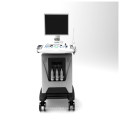 DW-C80 3D 4D trolley color doppler ultrasonido máquina precio ultrasonido escáner